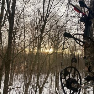 Meet your Posher, Cody